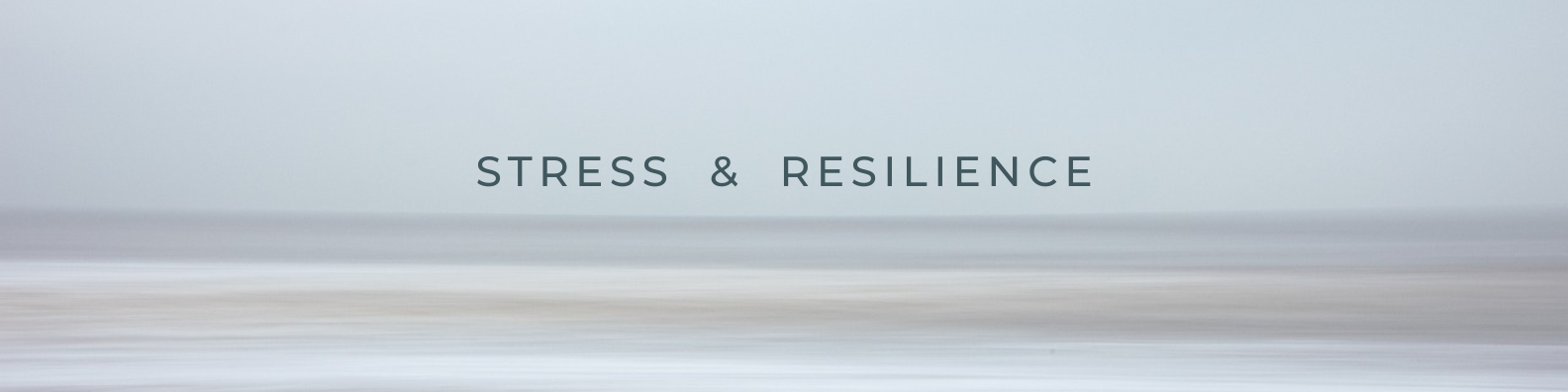 The Science of Stress Resilience: Understanding, Building, and Support ...
