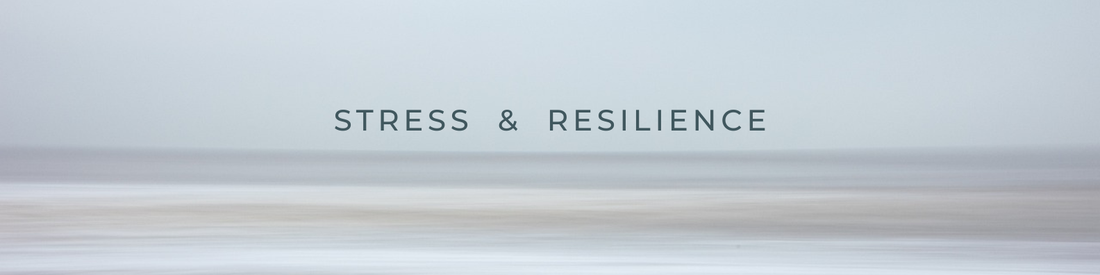 The Science of Stress Resilience: Understanding, Building, and Supporting Your Body's Response to Stress
